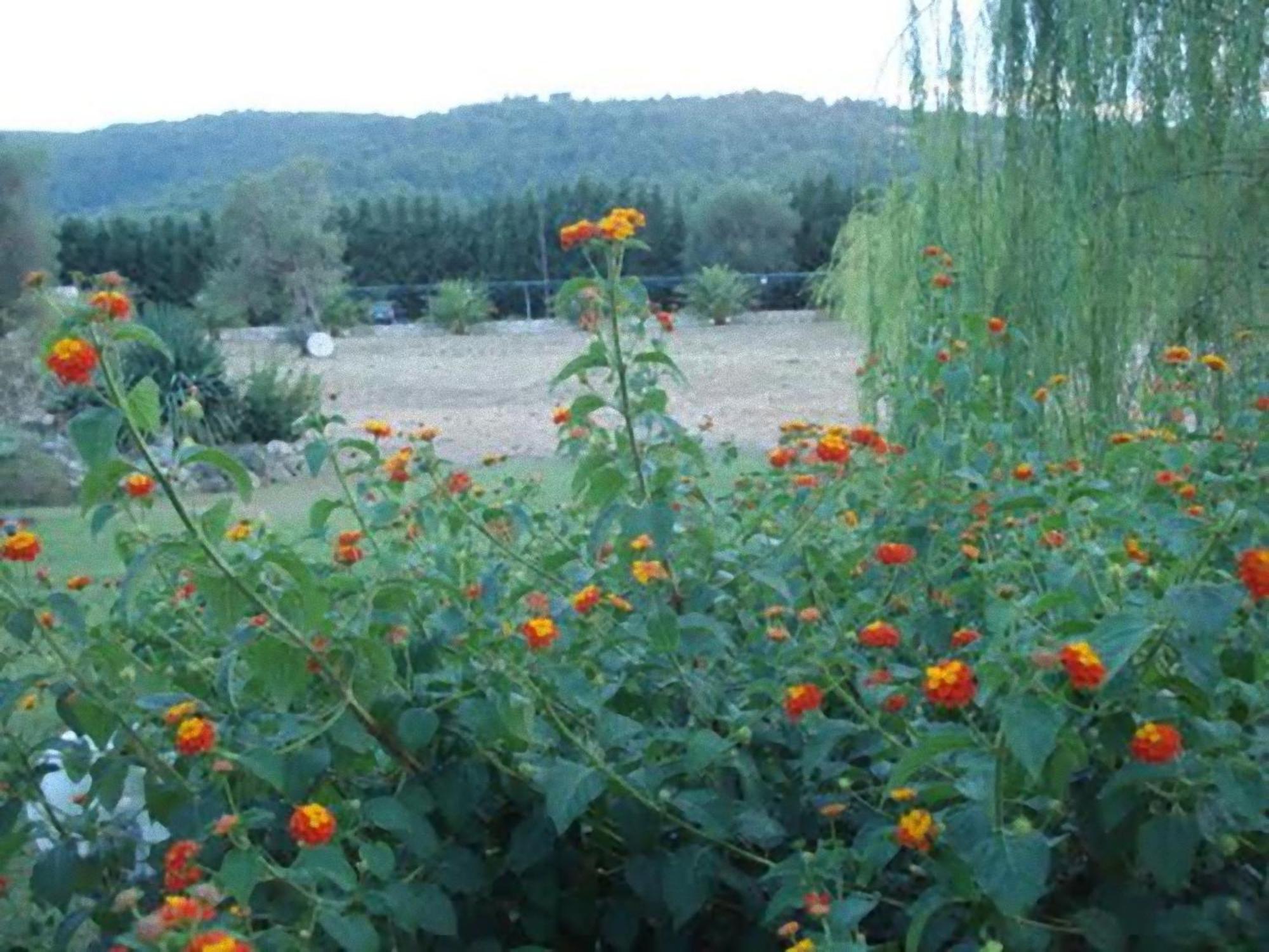 הוילה פסקיצ'י La Piana Di Calena מראה חיצוני תמונה