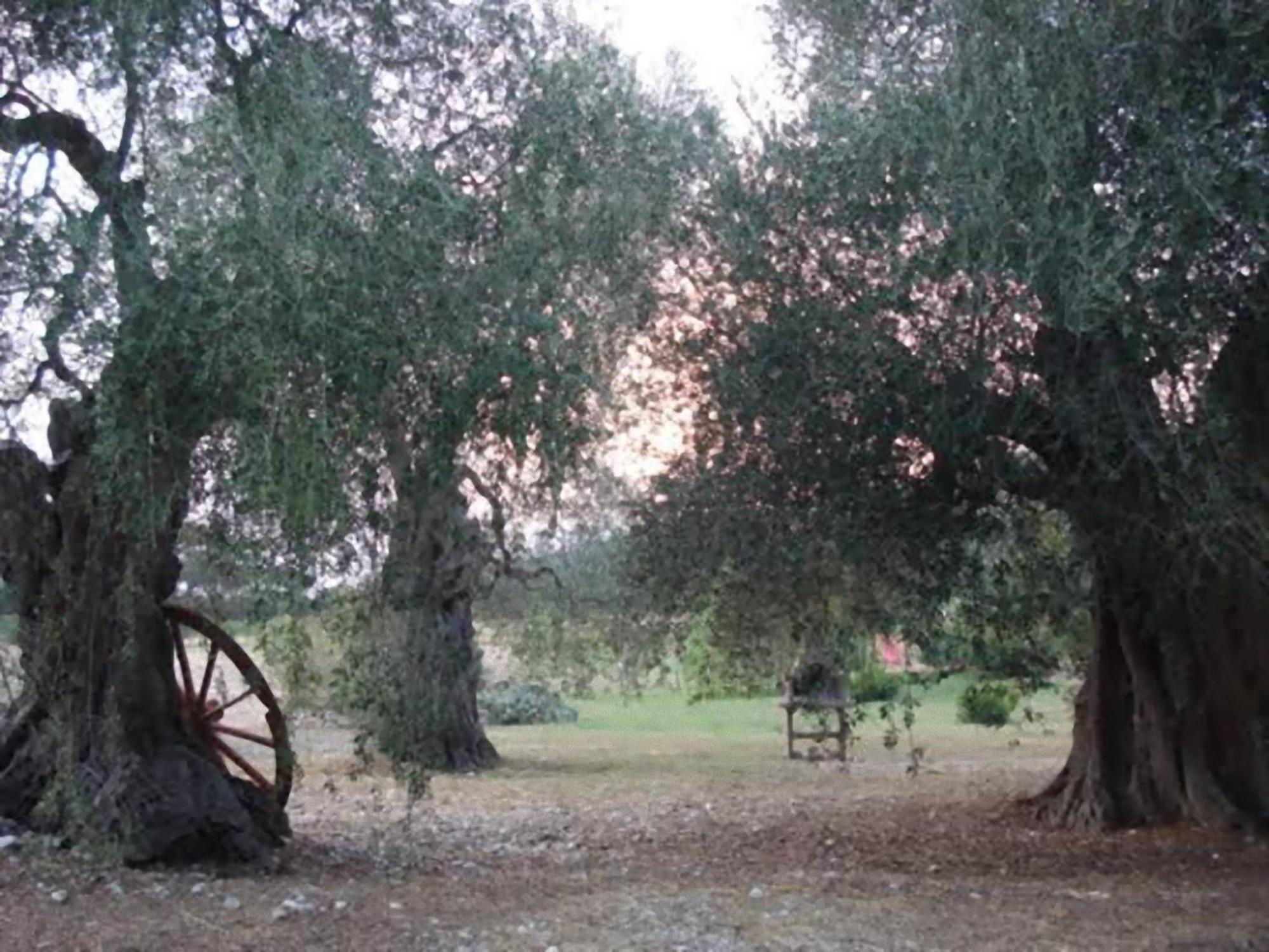 הוילה פסקיצ'י La Piana Di Calena מראה חיצוני תמונה