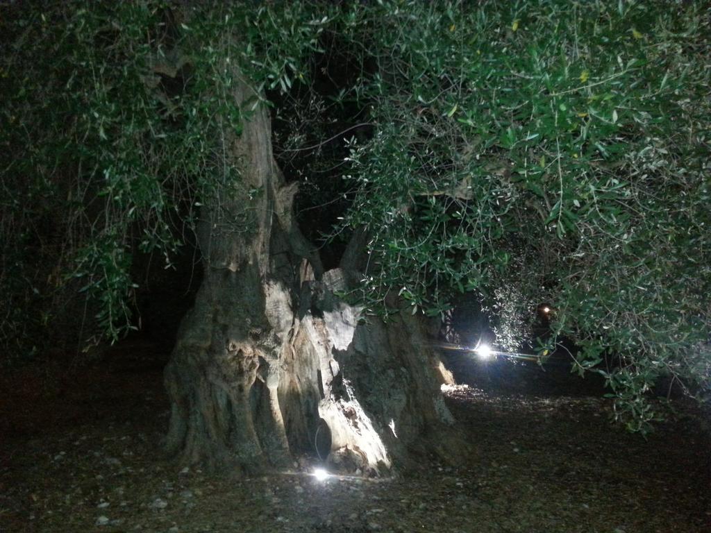 הוילה פסקיצ'י La Piana Di Calena מראה חיצוני תמונה