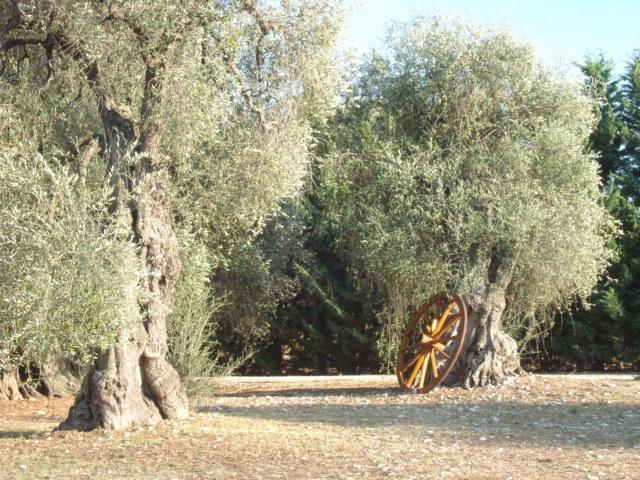 הוילה פסקיצ'י La Piana Di Calena חדר תמונה